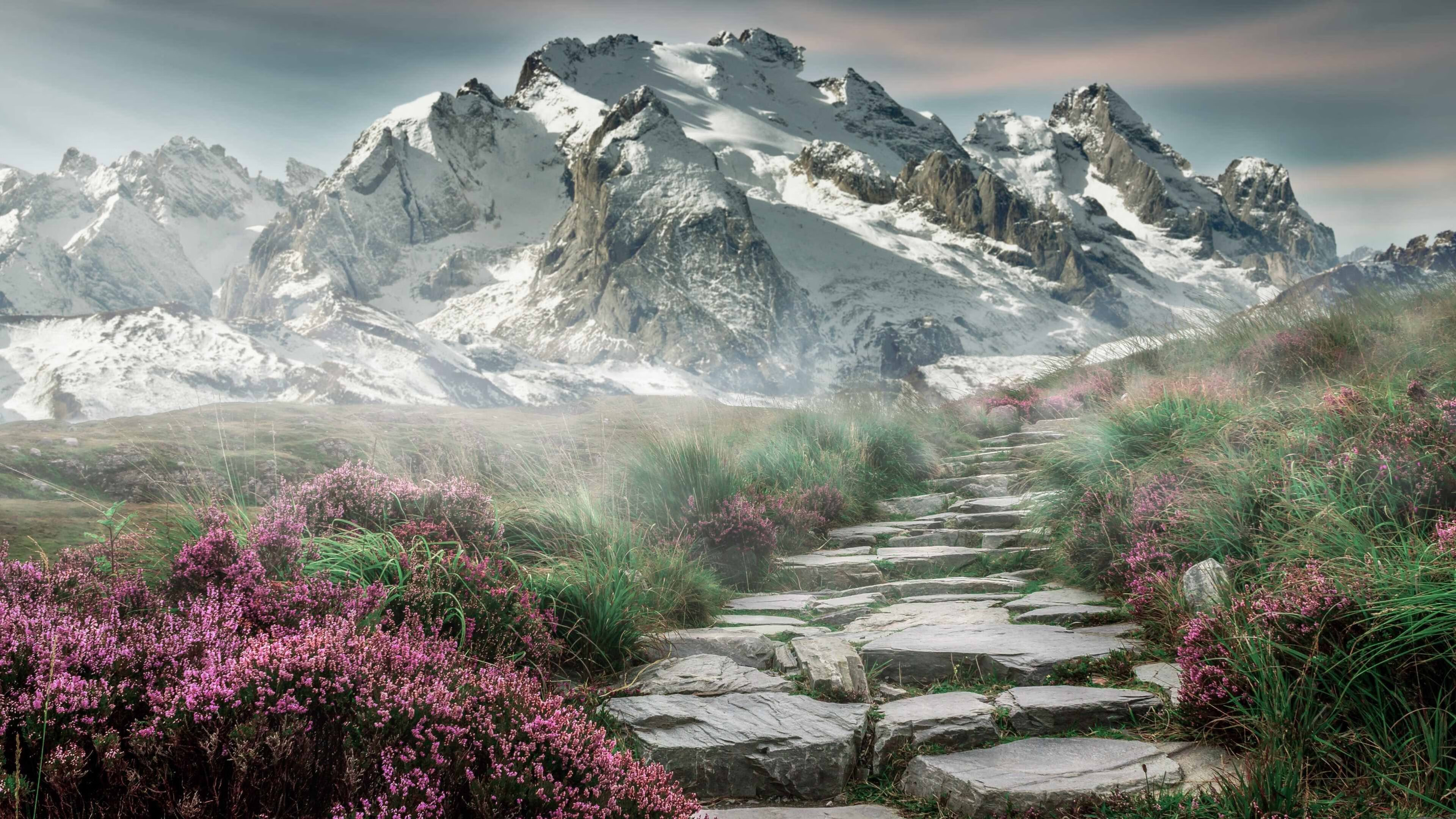 九游网页版官网入口-“你不知道的冷知识：NBA隐藏的小技巧”，nba教程