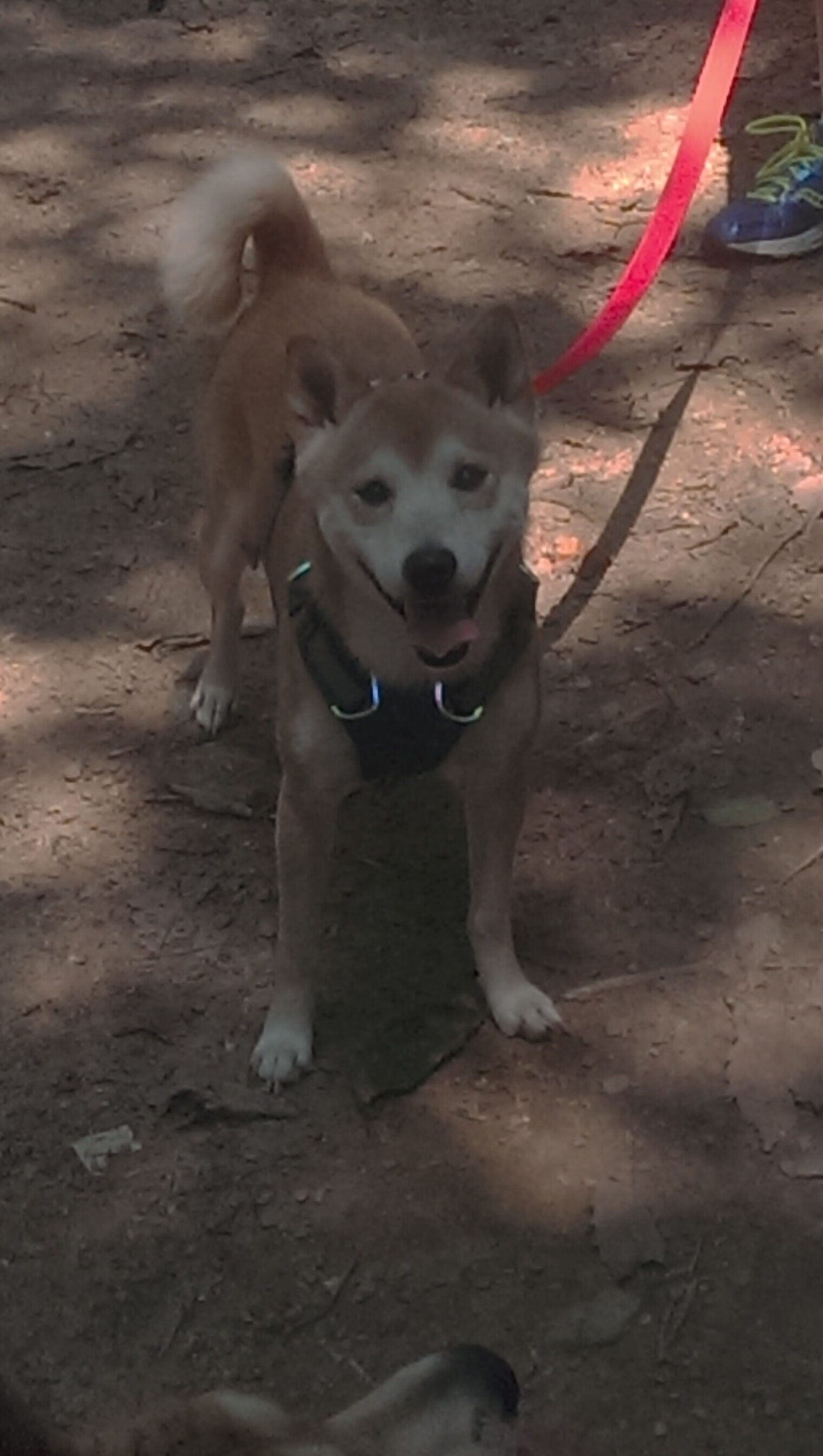 九游登录入口-【攻防结合】顶级运动员如何用战术转变掌控全场？，运动员战术能力定义