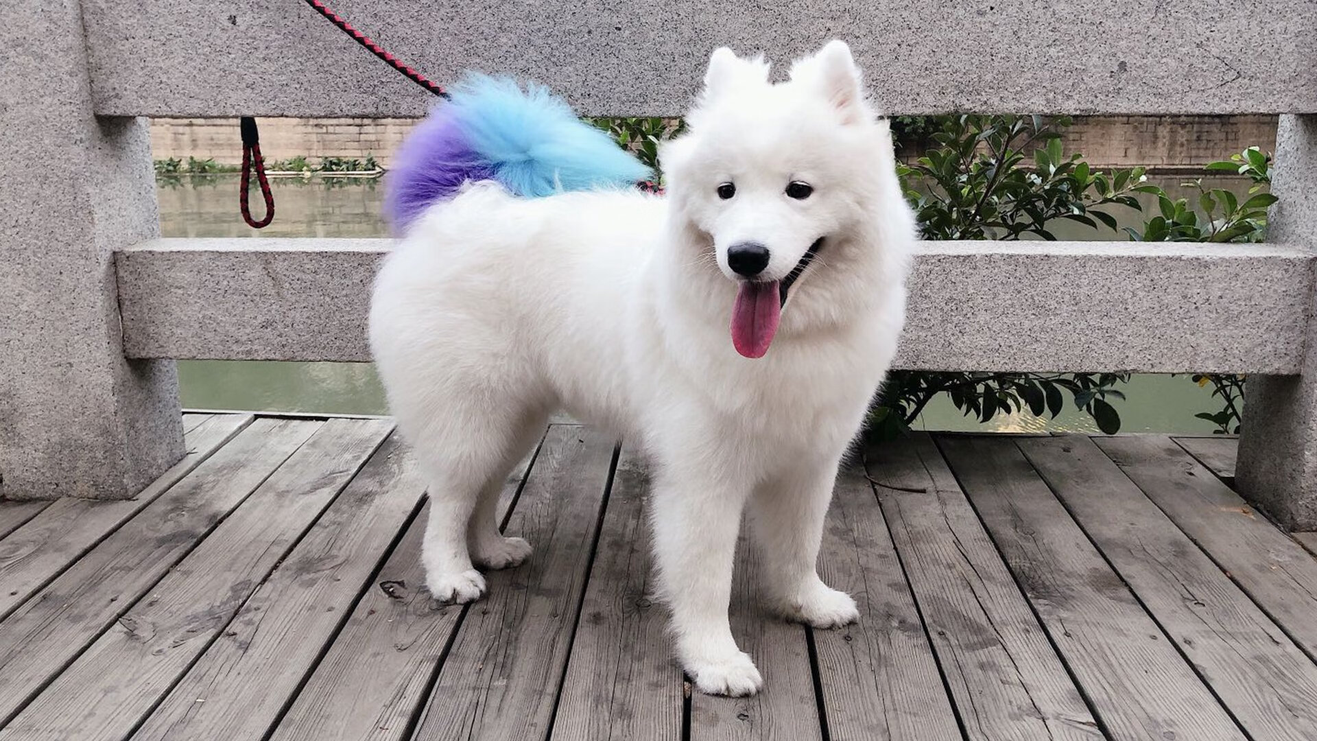 九游下载官网-少儿足球训练营：未来星光点点，2020全国少儿足球星计划