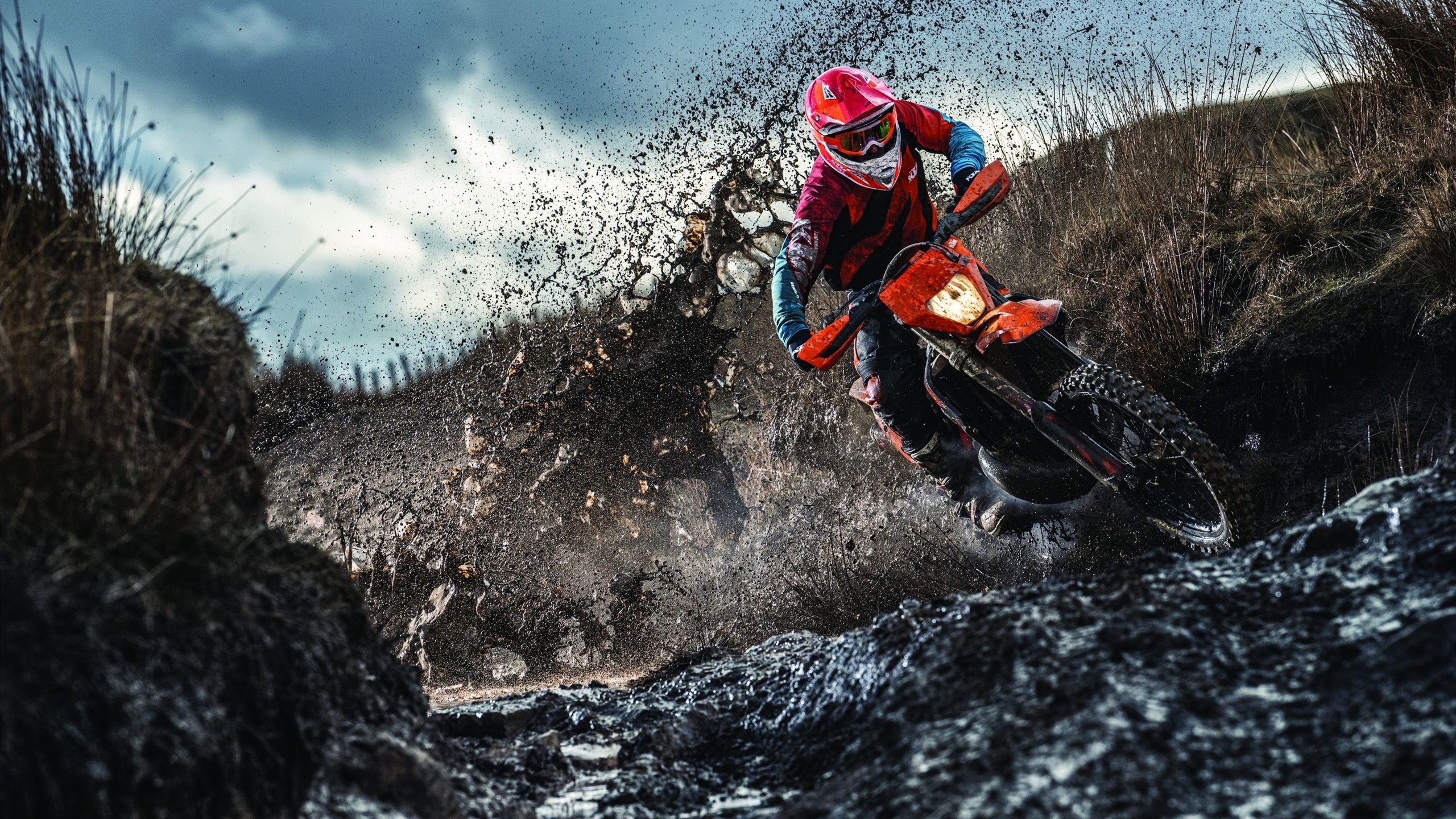 九游中心官网-塔特在橄榄球锦标赛中的影响力越来越大，未来星光闪耀